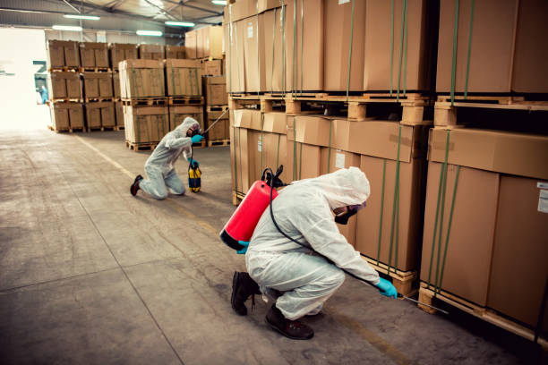 Best Pest Prevention Services  in Stevenson, WA