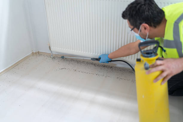 Best Termite Control Services  in Stevenson, WA